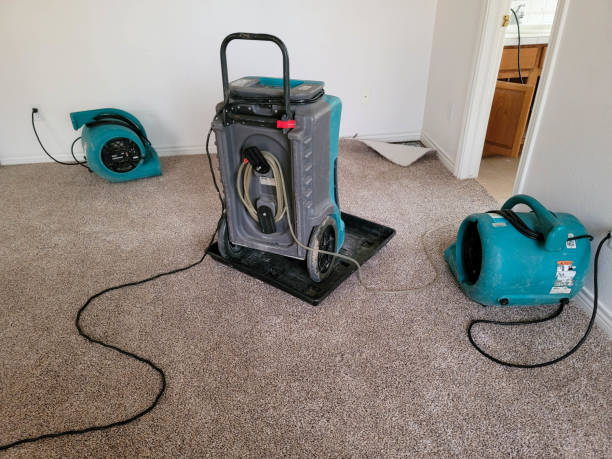 Water damage restoration process in Midway, FL