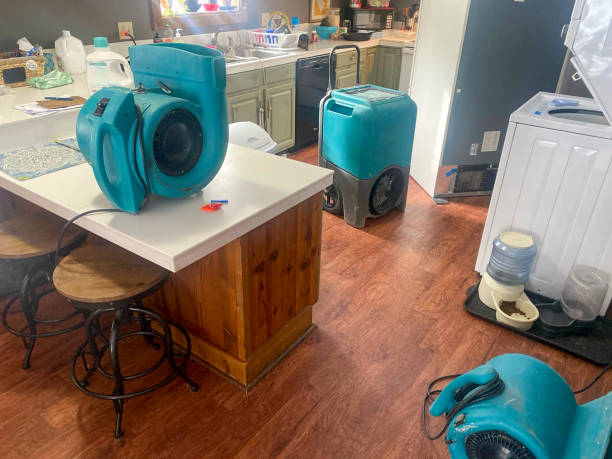 Best Water damage restoration near me  in Midway, FL