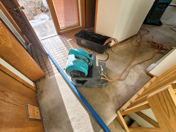 Best Professional water damage repair  in Midway, FL