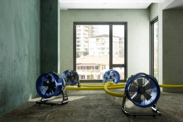 Best Water damage cleanup near me  in Midway, FL